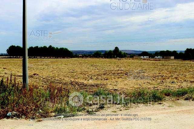 Terreno agricolo in commerciale in 