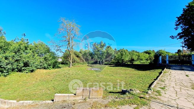 Terreno agricolo in commerciale in Via della Falcognana 61