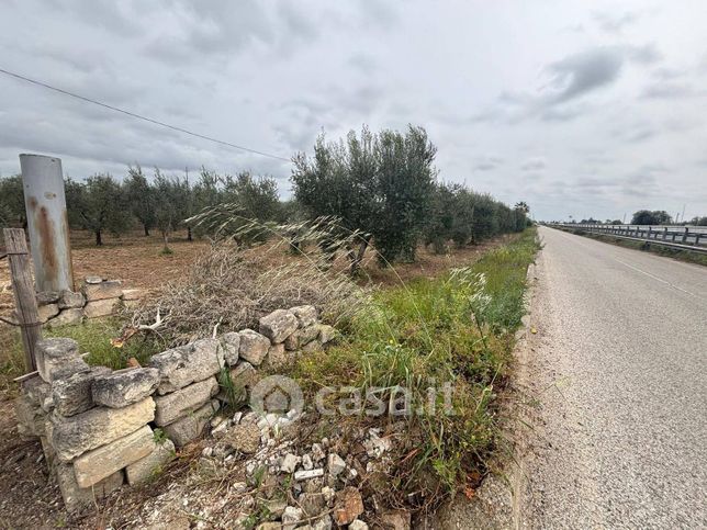 Terreno agricolo in commerciale in