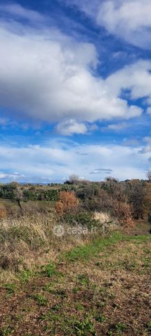 Terreno agricolo in commerciale in Via Calcara Muratelle