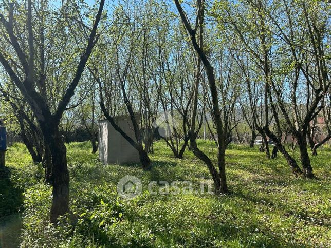 Terreno agricolo in commerciale in Via Capolungo