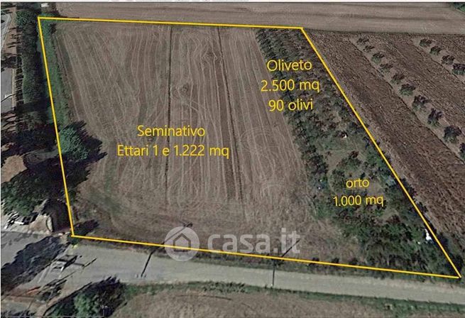 Terreno agricolo in commerciale in Strada Provinciale delle Collacchie