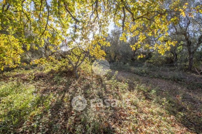 Terreno agricolo in commerciale in Strada di Colle Mastarello