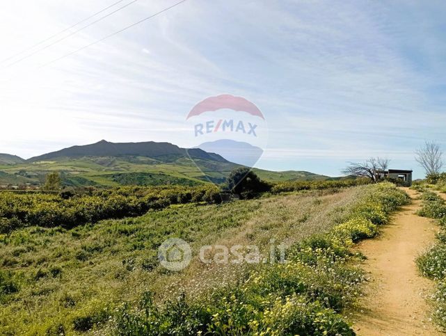 Terreno agricolo in commerciale in Strada Senza Nome