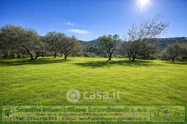 Terreno agricolo in commerciale in Via Bagnolo di Sopra