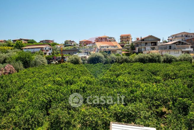 Terreno agricolo in commerciale in Via Fondaco D'Accorso Trappitello 15