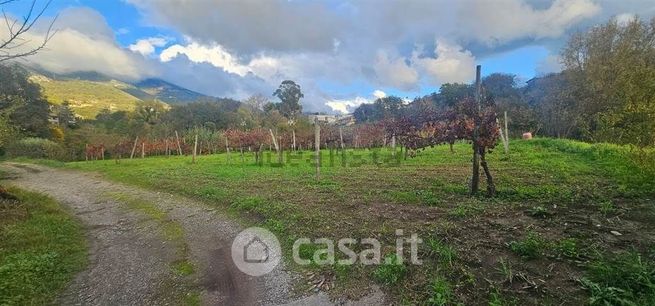 Terreno agricolo in commerciale in 