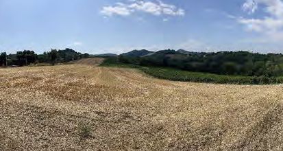 Terreno edificabile in residenziale in Frazione Casareggio