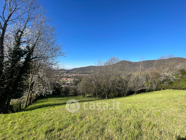 Terreno agricolo in commerciale in Via Spiazzi