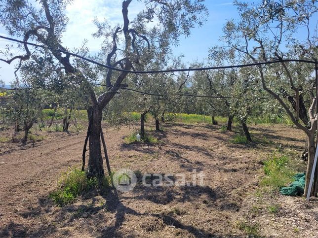 Terreno agricolo in commerciale in Via Scarafone