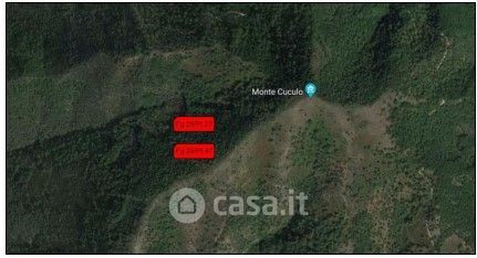 Terreno agricolo in commerciale in Monte Cuculo