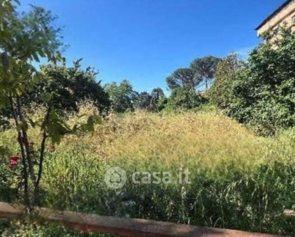 Terreno agricolo in commerciale in Via Braone