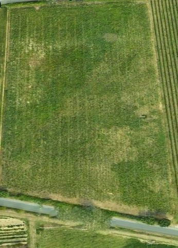 Terreno agricolo in commerciale in Via Guizzetti