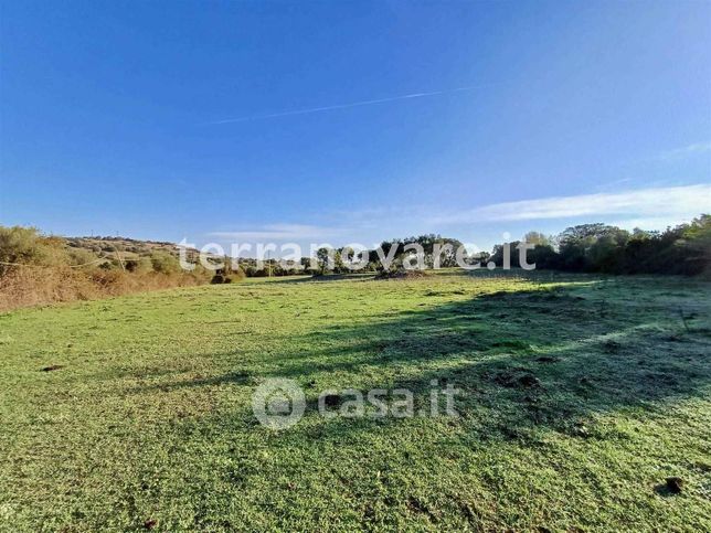 Terreno agricolo in commerciale in 