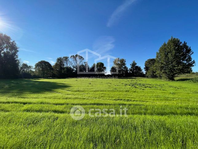 Terreno agricolo in commerciale in Via dei Boschi 30