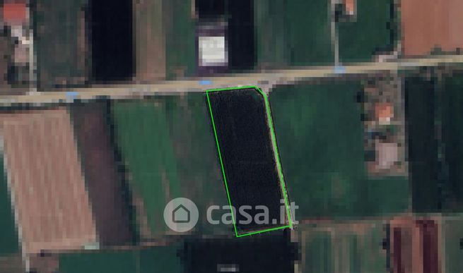 Terreno agricolo in commerciale in Via Bellandi