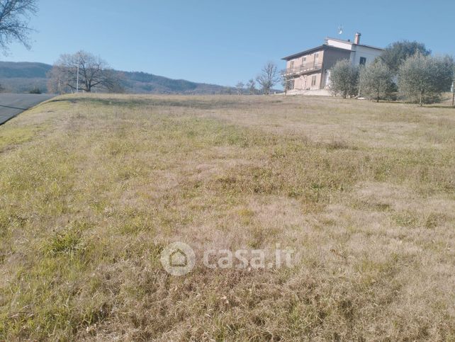 Terreno edificabile in residenziale in Via Macci