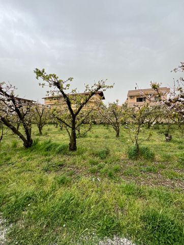 Terreno agricolo in commerciale in Via Arco Sant'Antonio