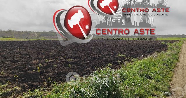 Terreno agricolo in commerciale in 