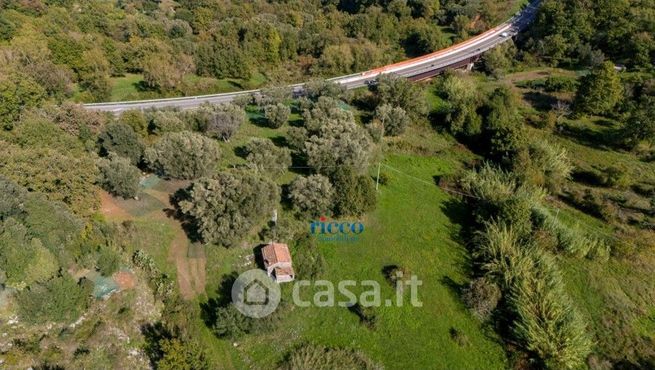 Terreno agricolo in commerciale in Località cardillo