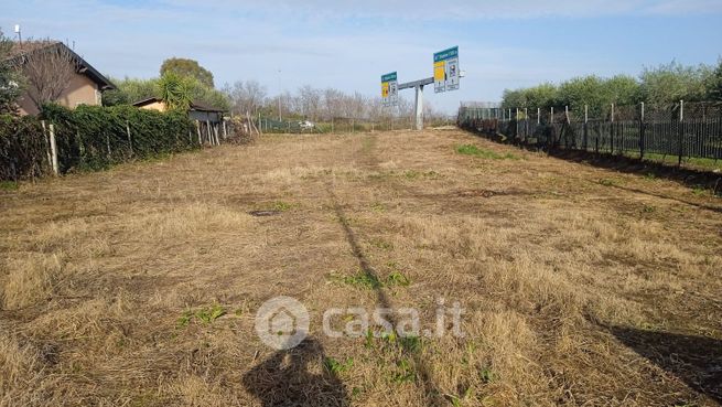 Terreno agricolo in commerciale in Via del Fontanile Tuscolano