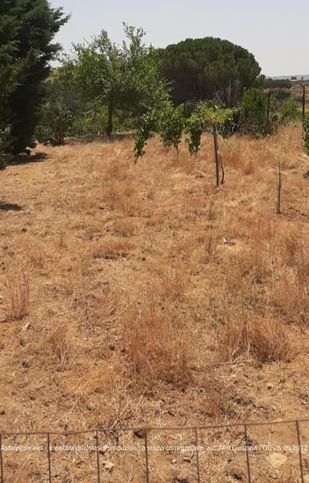 Terreno agricolo in commerciale in 