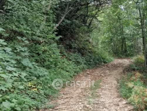 Terreno agricolo in commerciale in SR356