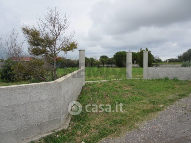 Terreno agricolo in commerciale in Strada Provinciale 3