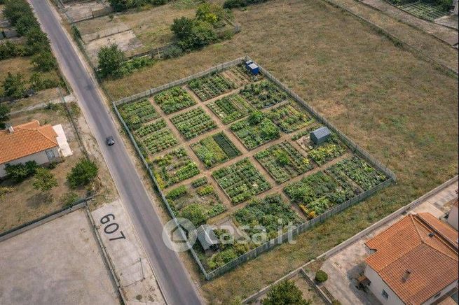 Terreno agricolo in commerciale in Borgo Incile
