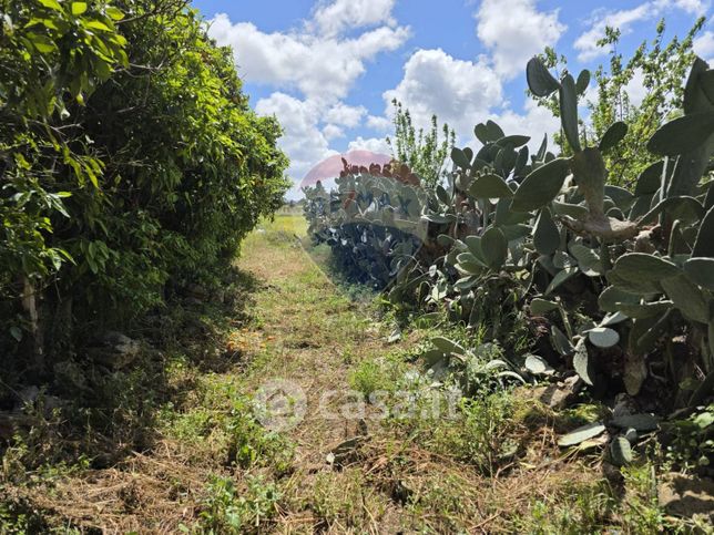 Terreno agricolo in commerciale in Contrada Spedalotto