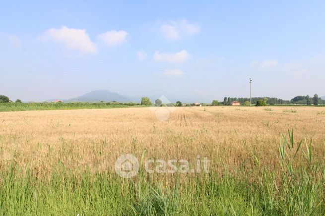 Terreno agricolo in commerciale in Via Rivella