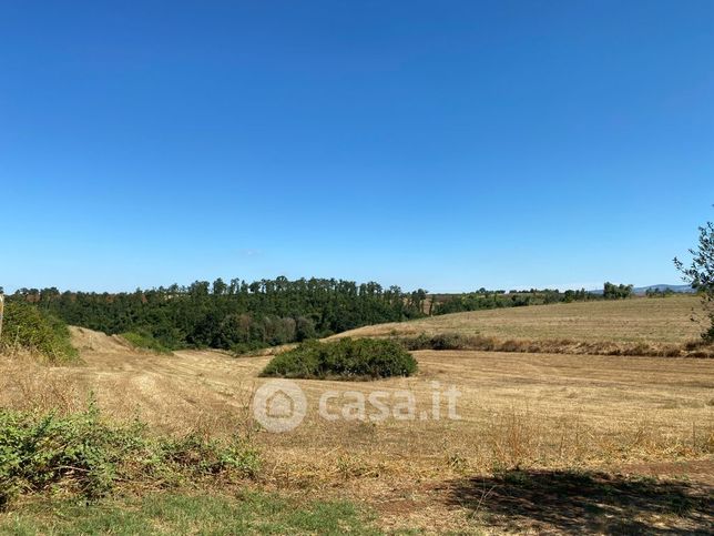 Terreno agricolo in commerciale in Via Vallelata