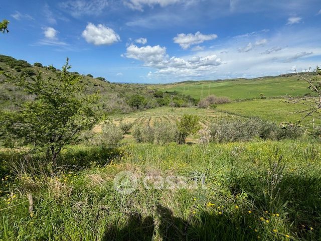 Terreno agricolo in commerciale in Via Terme di Traiano