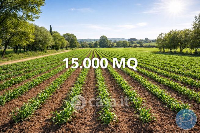 Terreno agricolo in commerciale in Via Capannaguzzo 1125
