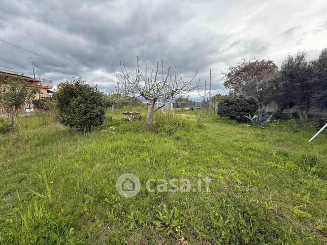 Terreno agricolo in commerciale in Via Flavio Gioia 45