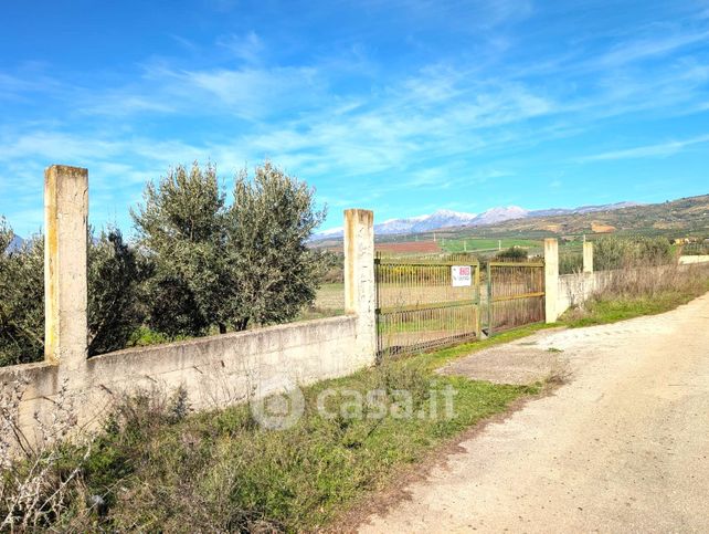 Terreno agricolo in commerciale in Contrada Cammarata