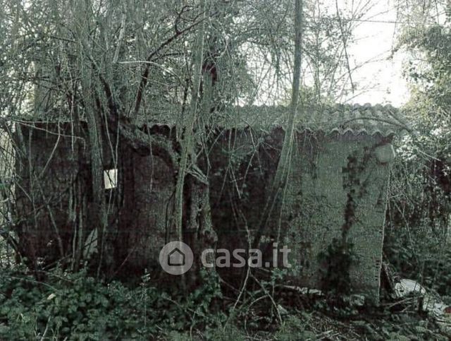 Terreno agricolo in commerciale in Contrada Caprini