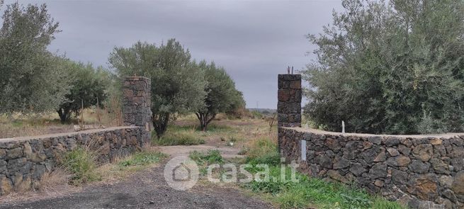 Terreno agricolo in commerciale in 