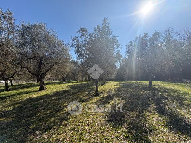 Terreno agricolo in commerciale in Strada di Castello