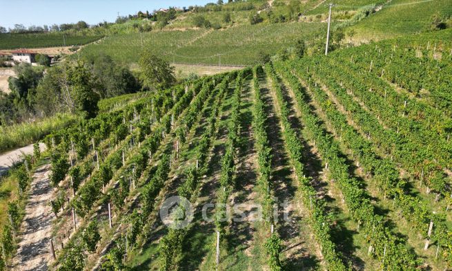 Terreno agricolo in commerciale in Località Meruzzano