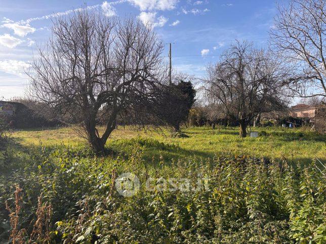 Terreno agricolo in commerciale in Vicolo degli Orti