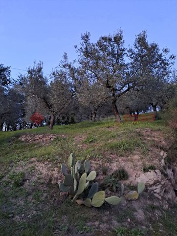 Terreno agricolo in commerciale in Via Colle Poria