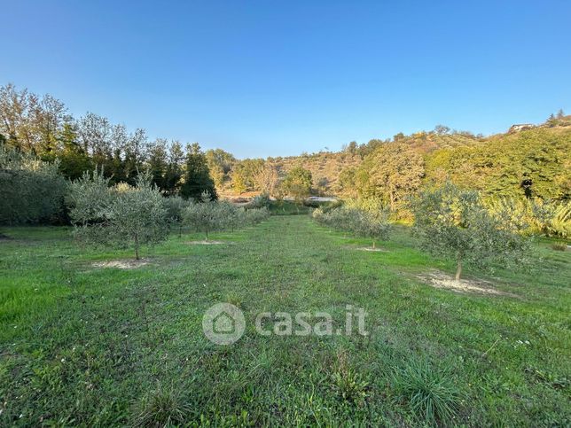 Terreno agricolo in commerciale in Via Croce Feragalli