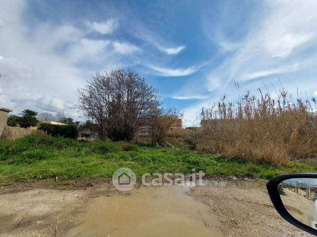 Terreno agricolo in commerciale in Via della Seccia