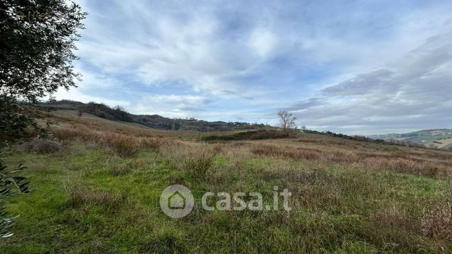 Terreno agricolo in commerciale in Strada Provinciale 142