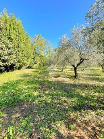 Terreno agricolo in commerciale in 