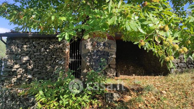 Terreno agricolo in commerciale in Strada Senza Nome