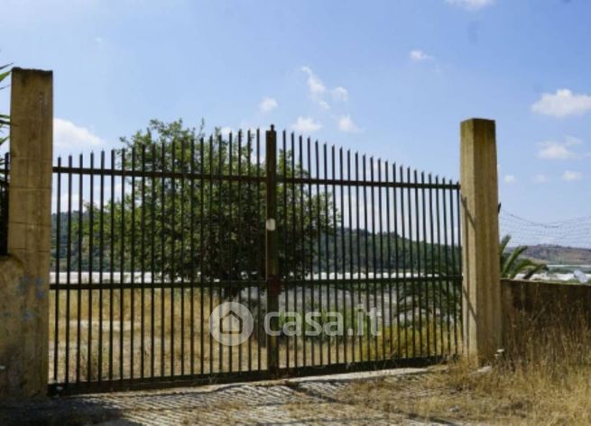 Terreno agricolo in commerciale in Strada Provinciale 31
