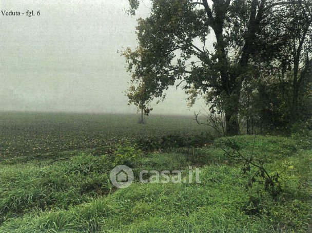 Capannone in commerciale in Località Isola Serafini
