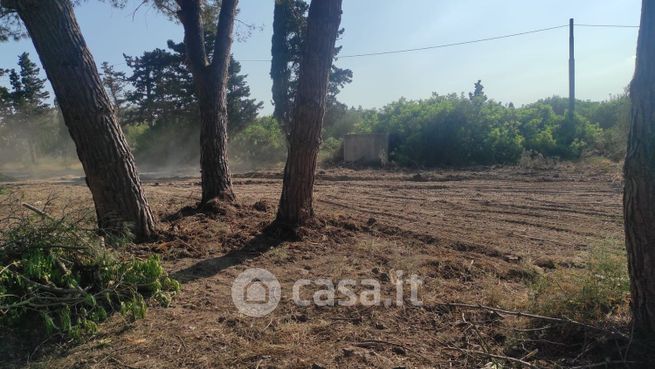 Terreno agricolo in commerciale in Strada Comunale San. Forzorio 1